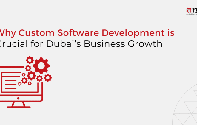 custom software development for Dubai business growth