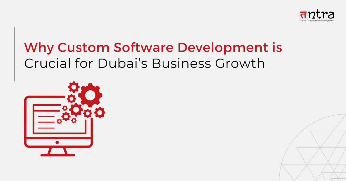 custom software development for Dubai business growth