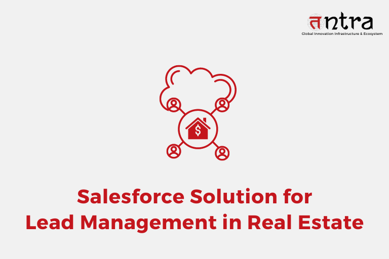 Salesforce Solution for Lead Management in Real Estate Case Study